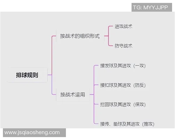 广州排球队的战术解析与技术控制深度剖析