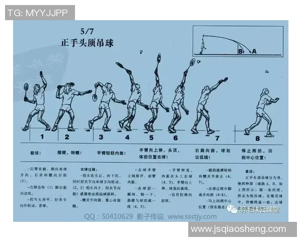 深圳羽毛球队战术表现深度分析与数据解读探索